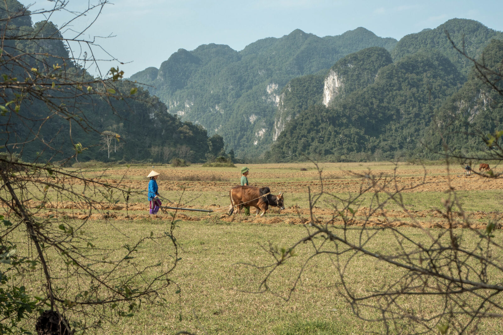 Landarbeit in Vietnam
