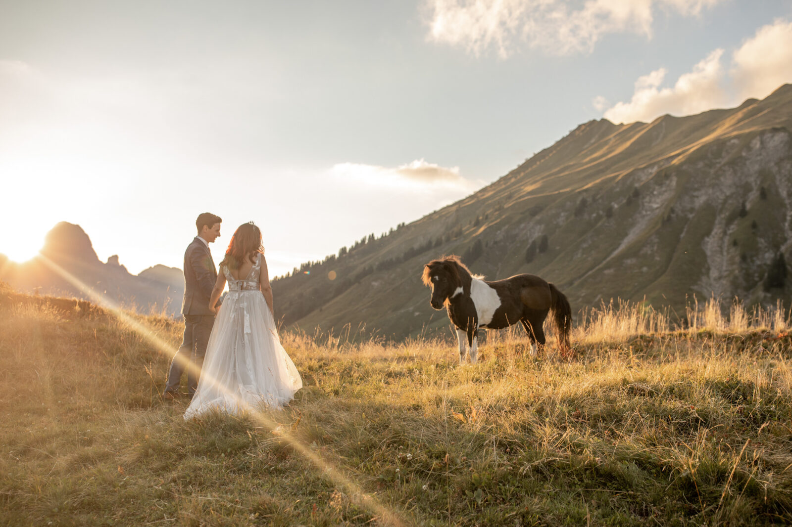 After wedding fotos mit Pferd