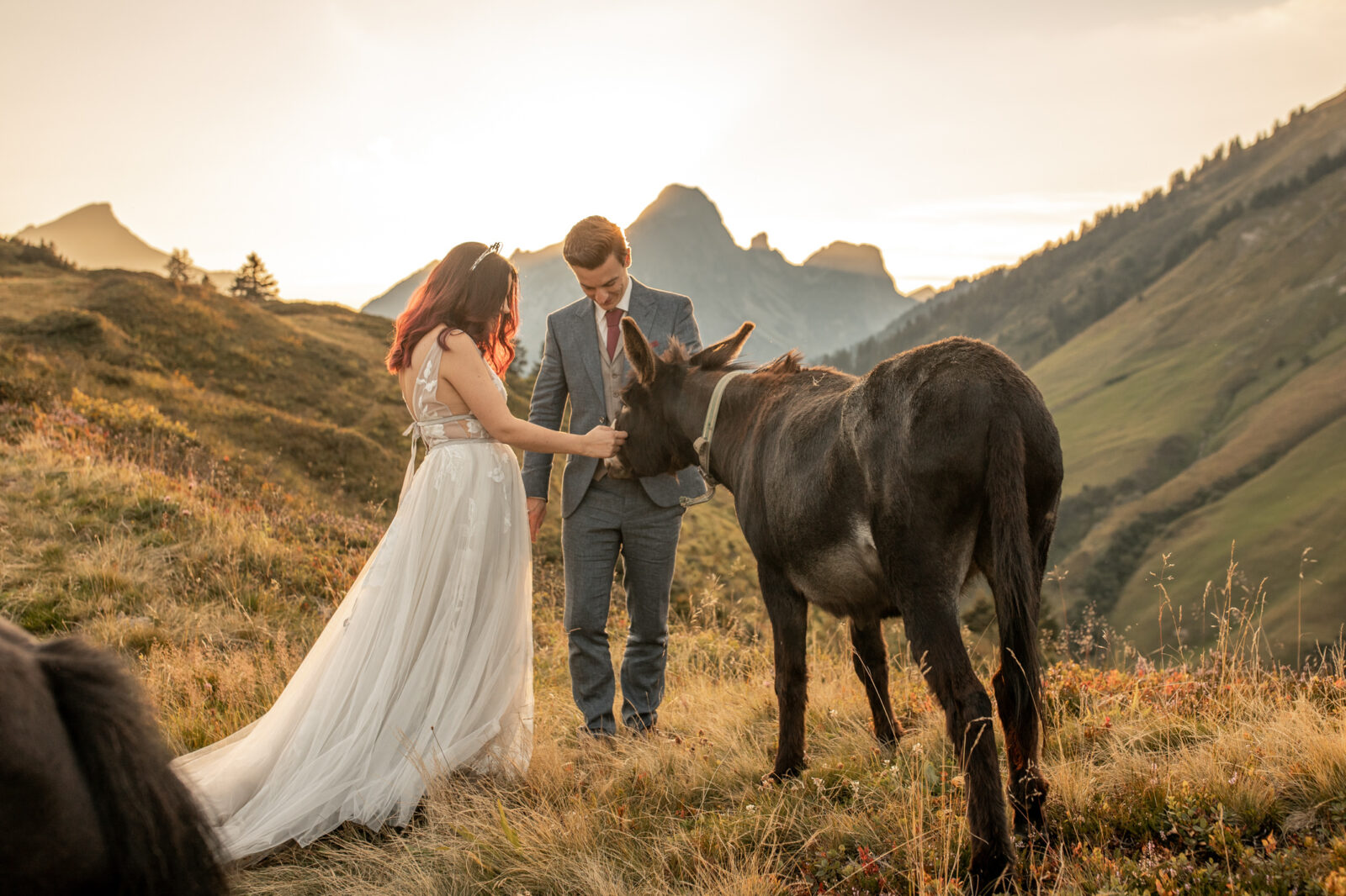 Hochzeitsfotos mit Tieren in Vorarlberg