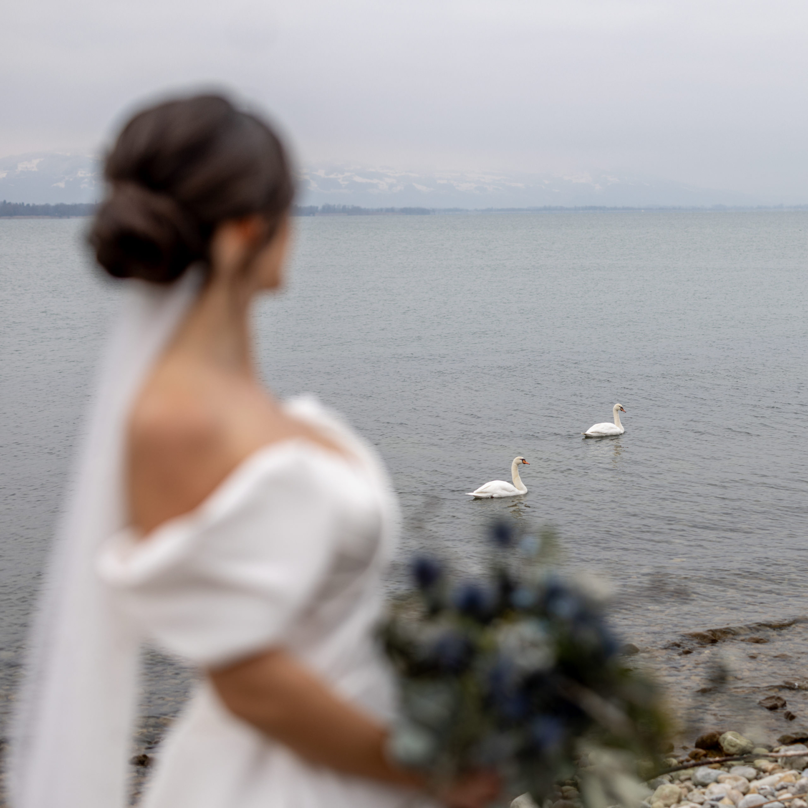 Hochzeit am Bodensee mit Schwänen Österreich